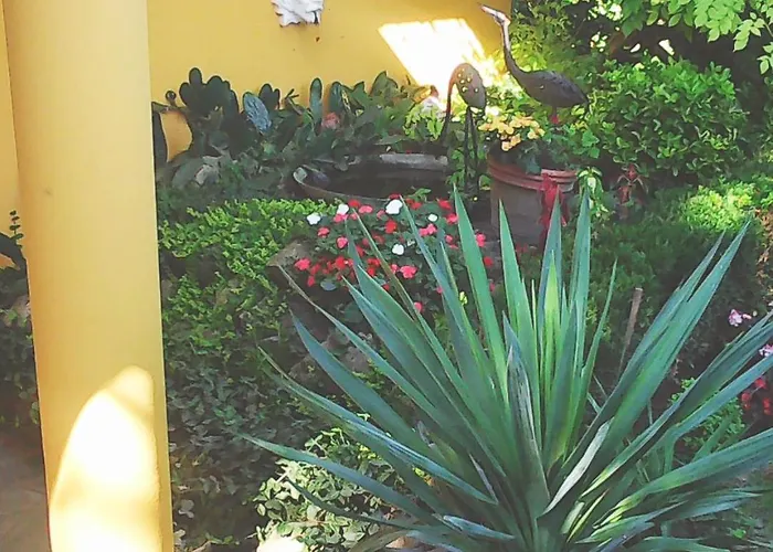 La Dolche * Szolosgyorok